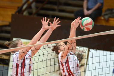 Kaposvar - bse volleybal oyunu