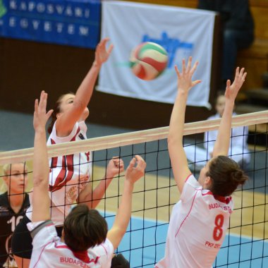 Kaposvar - bse volleybal oyunu