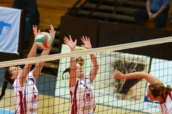 Kaposvar - bse volleybal spel — Stockfoto