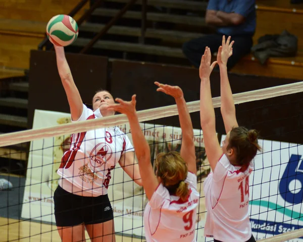 Kaposvar - juego de voleibol EEB —  Fotos de Stock