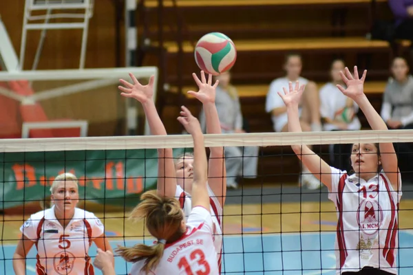 Kaposvar - bse volleybal oyunu — Stok fotoğraf