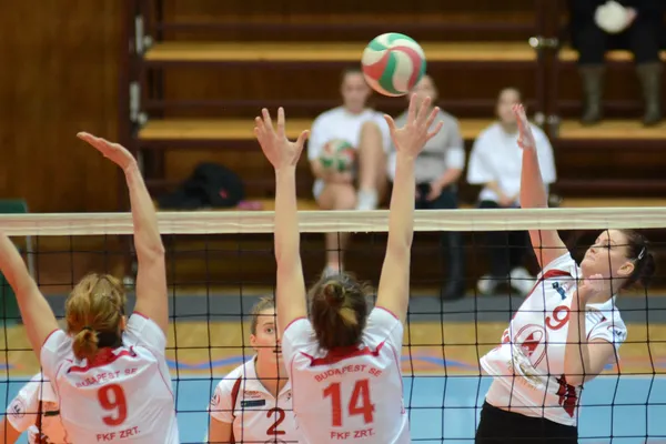 Kaposvar - bse volleybal oyunu — Stok fotoğraf