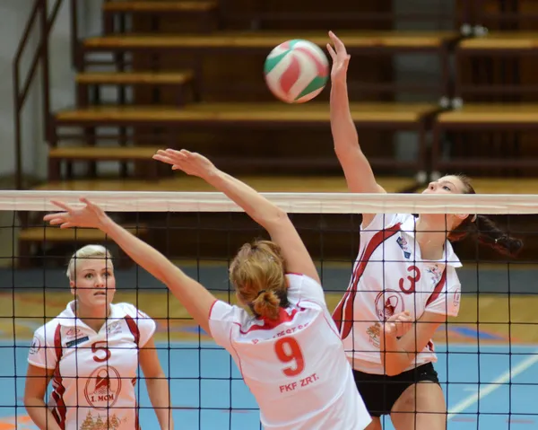 Kaposvar - bse volleybal oyunu