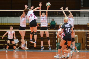 Kaposvar - bse volleybal oyunu