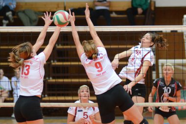 Kaposvar - bse volleybal oyunu