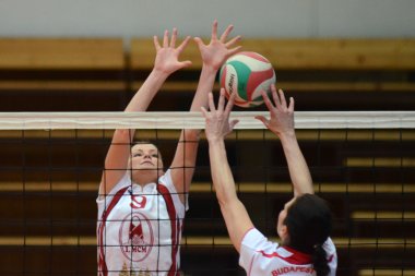 Kaposvar - bse volleybal oyunu