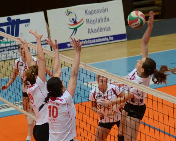 Kaposvar - bse volleybal oyunu — Stok fotoğraf