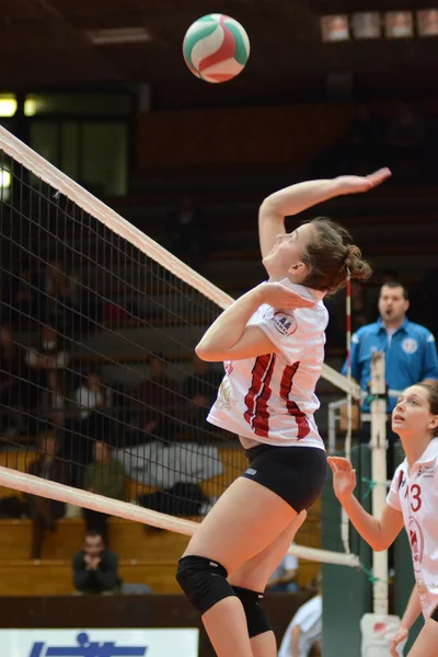 Kaposvar - bse-Volleyball-Spiel — Stockfoto