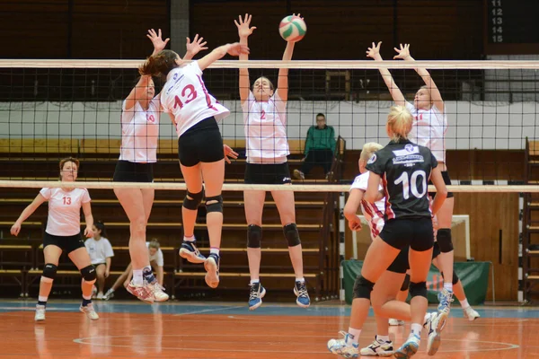 Kaposvár - bse volleybal gra — Zdjęcie stockowe