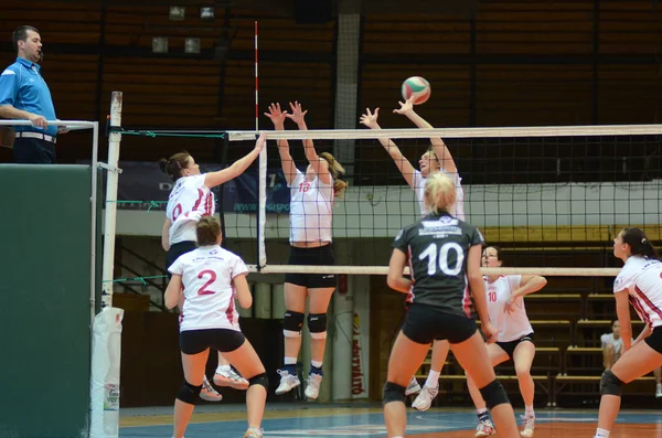 Kaposvar - bse-Volleyball-Spiel — Stockfoto