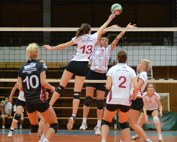 Kaposvar - bse volleybal oyunu — Stok fotoğraf