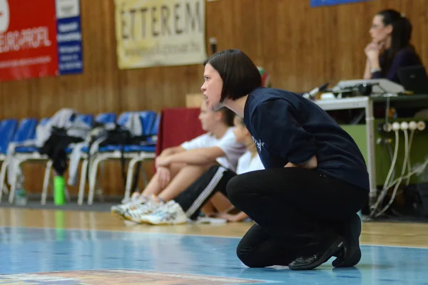 Kaposvár - bse volleybal gra — Zdjęcie stockowe