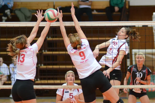 Kaposvar - bse volleybal oyunu