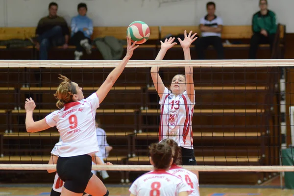 Kaposvar - bse volleybal oyunu — Stok fotoğraf