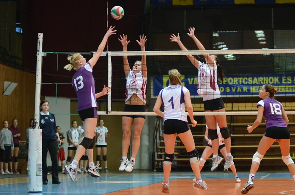 Kaposvar - ujpest Voleybol oyunu