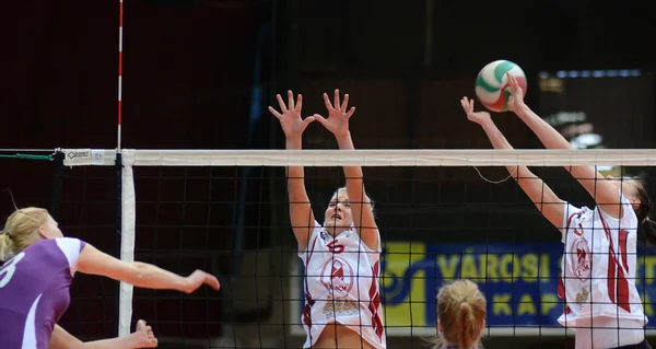 Kaposvar - ujpest Voleybol oyunu — Stok fotoğraf