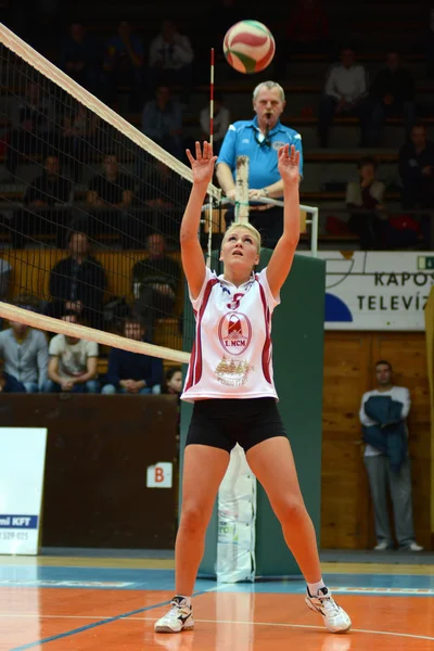 Kaposvar - ujpest Volleyball Spiel — Stockfoto