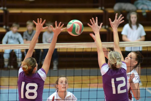 Kaposvar - ujpest Voleybol oyunu — Stok fotoğraf