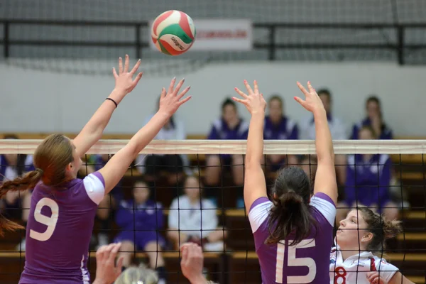 Kaposvar - ujpest Voleybol oyunu