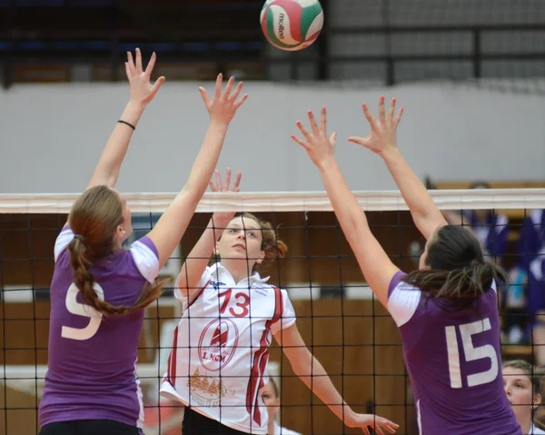 Kaposvar - ujpest Voleybol oyunu — Stok fotoğraf