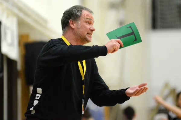 Siofok - Fehervar handball match — Stock Photo, Image