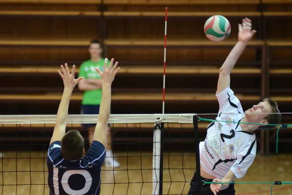 Kaposvar - Juego de voleibol PTE-PEAC —  Fotos de Stock