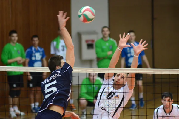 Kaposvar - partita di pallavolo PTE-PEAC — Foto Stock