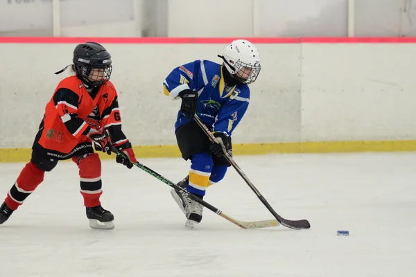 Kaposvar - szombathely u8 buz hokeyi maçı