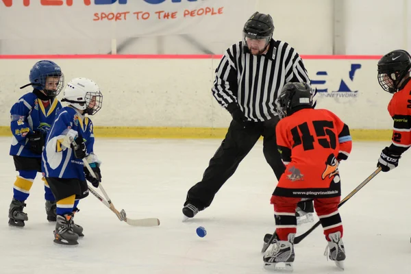 Kaposvar - Szombathely U8 Ice hockey match — Stock Photo, Image