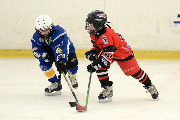 Kaposvar - szombathely u8 buz hokeyi maçı