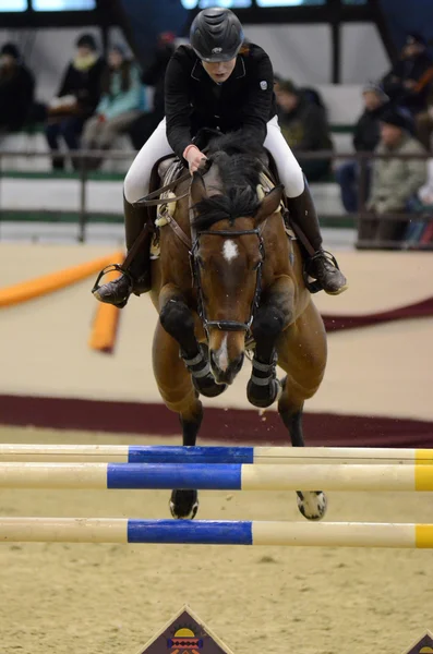 Tournoi des Maîtres Concours International de Saut — Photo