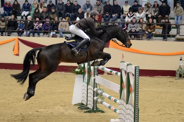 atlama Yarışması uluslararası Masters Turnuvası