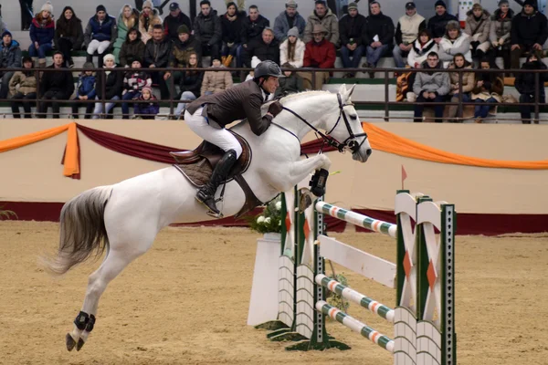 Tournoi des Maîtres Concours International de Saut — Photo