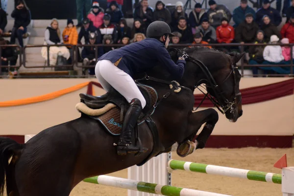 Tournoi des Maîtres Concours International de Saut — Photo