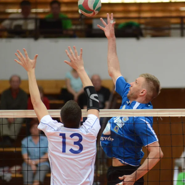 Kaposvar - kecskemet Volleyball Spiel — Stockfoto