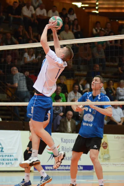 Kaposvar - kecskemet Voleybol oyunu — Stok fotoğraf