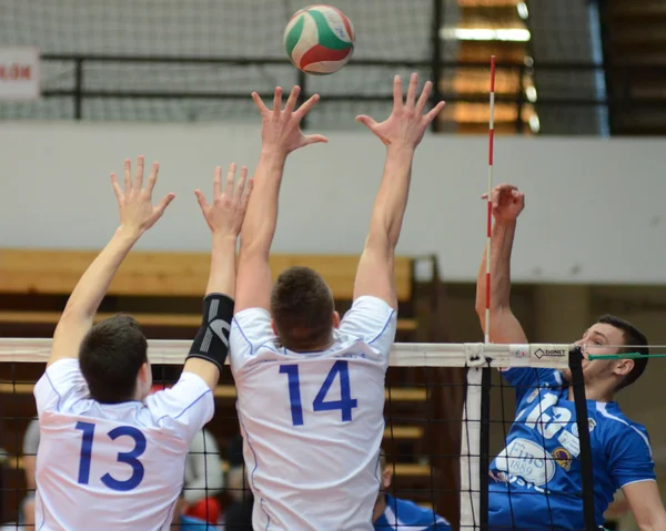 Kaposvar - kecskemet Voleybol oyunu — Stok fotoğraf