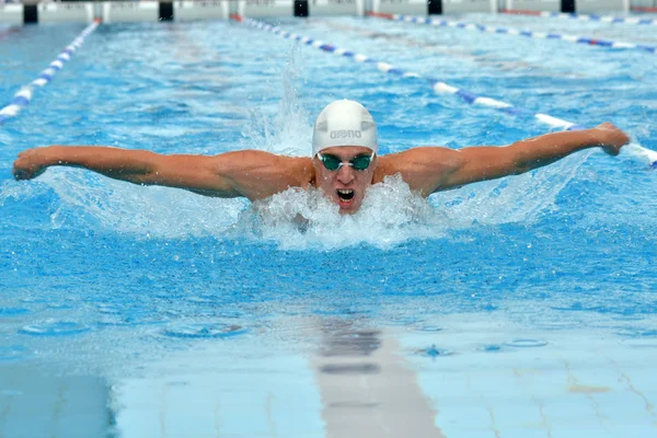 Competição de natação Imagens De Bancos De Imagens