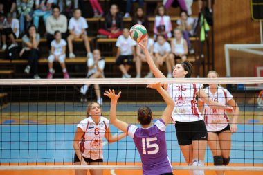 Kaposvar - ujpest Voleybol oyunu