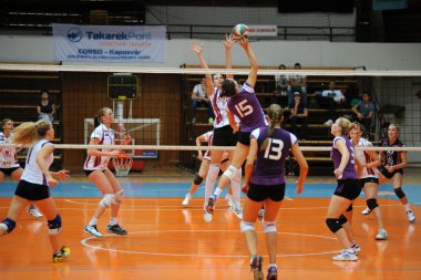 Kaposvar - ujpest Voleybol oyunu