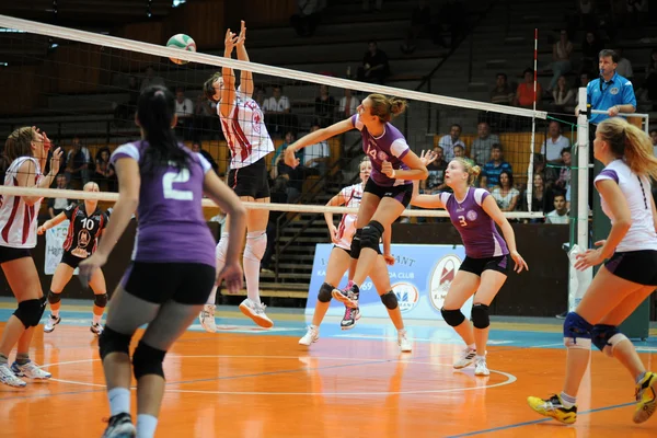 Kaposvar - ujpest Voleybol oyunu