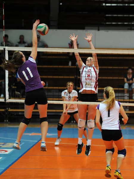 Kaposvar - Ujpest jogo de voleibol — Fotografia de Stock