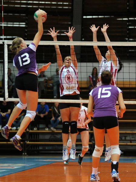 Kaposvar - ujpest Voleybol oyunu — Stok fotoğraf