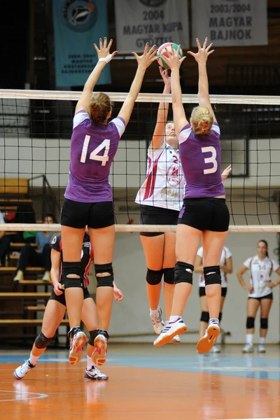 Kaposvar - ujpest Volleyball Spiel — Stockfoto