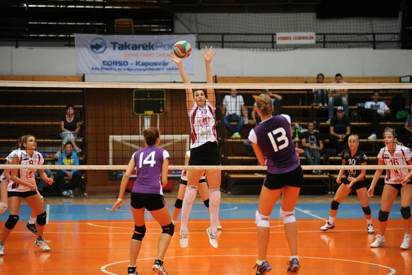 Kaposvar เกมวอลเลย์บอล Ujpest — ภาพถ่ายสต็อก