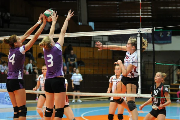 Kaposvar - Jeu de volley-ball Ujpest — Photo