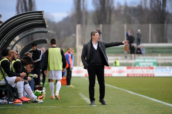 Kaposvar - puskas akademia soccer oyunu