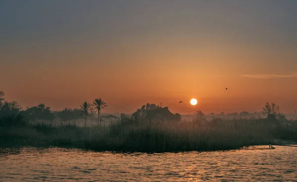 Sonnenaufgang Der Israelischen Düne Gelber Sand Palmen Landschaft Israel Ashkelon — Stockfoto