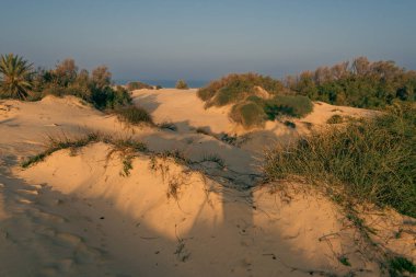 İsrail kumulu. Sarı kum. Manzara. İsrail Ashkelon Şubat 2022