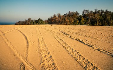İsrail kumulu. Sarı kum. Manzara. İsrail Ashkelon Şubat 2022